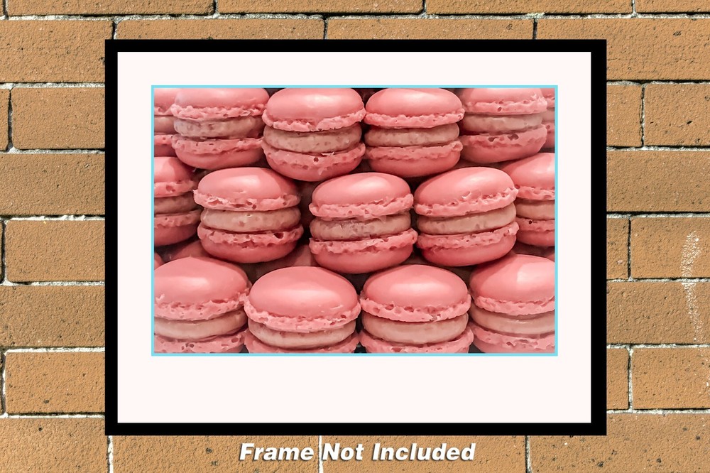 Pink Macaroons 11″ x 14″ Color Photography (ZHR181100911X14)