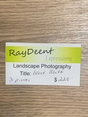 RayDeent “West Bluff” Keuka Lake Triptych – Set of 3 Landscape Photos