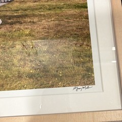 Gray Malin Signed and #6 Framed Matted Color Photo Airplane Vintage Autos Dog