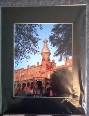 Plant Hall, University Of Tampa 8×10