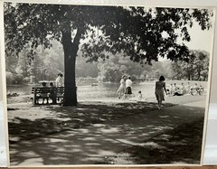 Arthur Gray Standard Oil Photographer Cleveland Ohio Americana Park Scene Look!!