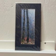 Signed Sherrill Photo Fall Color Aspen Trees – CHOOSE MAT COLOR – Rooster Rock
