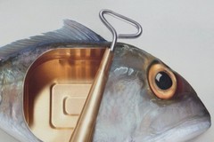 Canned FISH Fine Art Photograph Signed ORIGINAL Ltd Edition SURREALIST Print NEW