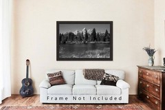 Black and White Wall Decor Art Print of Grand Tetons at Schwabacher Landing