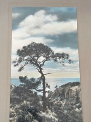 Lg VTG J.M. Garrison Hand Tinted Oil Color Photo Torrey Pines 12.5”x23.5” VGC