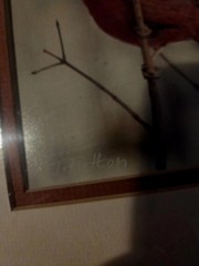 New Sealed John Fulton Original Photo Art Red Cardinal Numbered Signed 1988