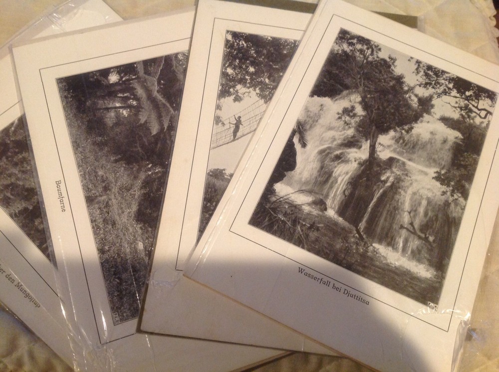 Vtg Antique Africa Photographs Signed J K Nature Waterfall Tree Bridge Swahili 7