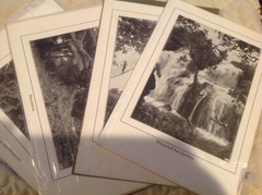 Vtg Antique Africa Photographs Signed J K Nature Waterfall Tree Bridge Swahili 7