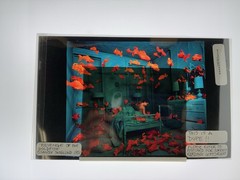 Sandy Skoglund Transparency Archive Lot Revenge Goldfish Radioactive Cats