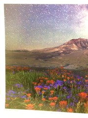 ART Original PHOTO Photograph Mt St Helens Washington Signed By Artist 17 x 11