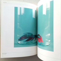 YET UNTITLED/Photo collection Work collection Foreign books