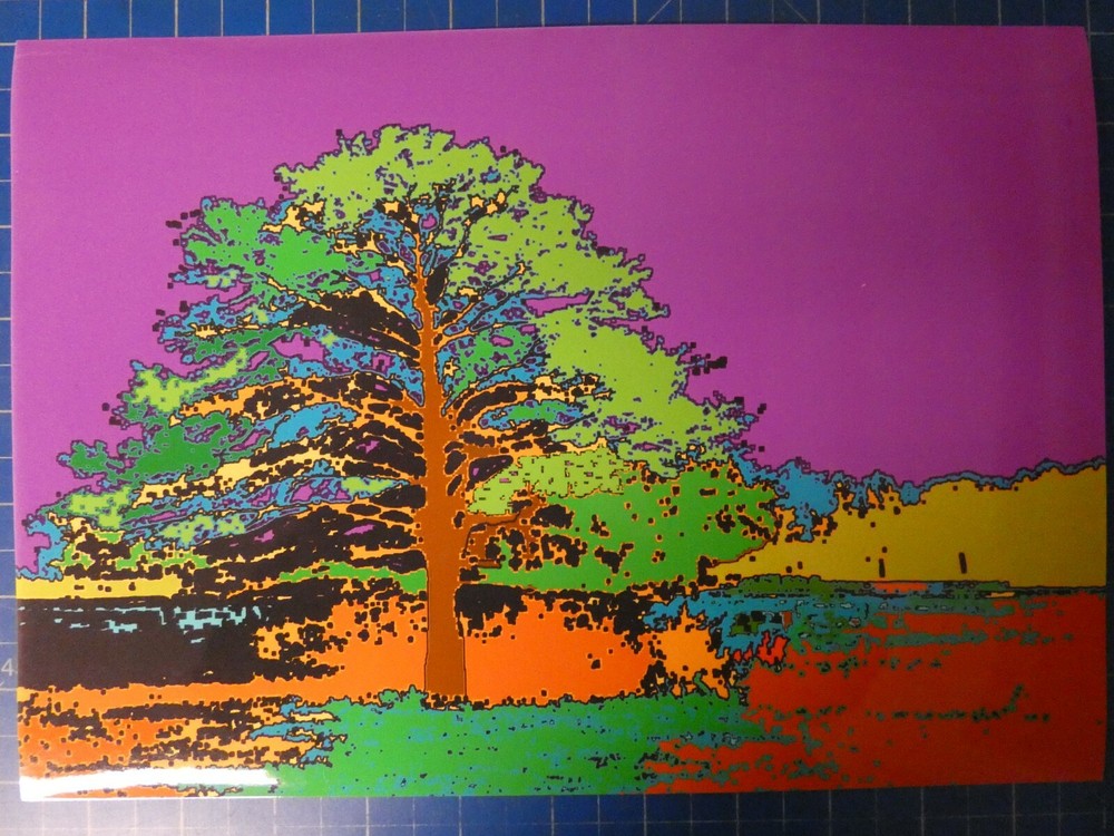 Günter Tabken single print photo paper DIN A4 court oak H15409