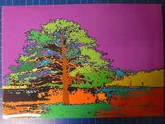 Günter Tabken single print photo paper DIN A4 court oak H15409