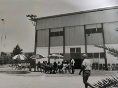 TOTAL Oil Exploration 1950 Photo 24 X 19 Hassi Messaoud /Alain Pol No16