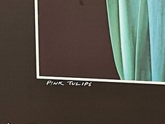 NICK ZUNGOLI Vintage 1981 «Pink Tulips» Signed & Framed- 18 x 24″
