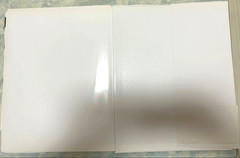Santa Fe Rie Miyazawa by Kishin Shinoyama Photo Book Japan Old Edition