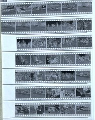 180 NEGATIVES MOTOR RACING SILVERSTONE CARS BIKES VINTAGE CARS SPORT c1970s 35mm