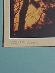 Framed Limited Edition Photograph — Sunset Silhouette Forest — Signed & Numbered