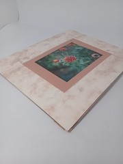 Marigold Double Matted Photo 3.5×5 in 8×10 Matted Frame Includes Hanging String