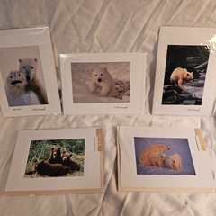 (3)Signed Tom Soucek Polar Bear Cub Photograph Anchorage Alaska (2) Walker/Bushu