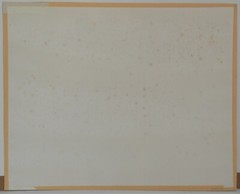HUGO WESSELS VINTAGE HAND SIGNED 1972 SILVER GELATIN PHOTOGRAPH NUMBERED OSPREY