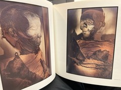«Egyptian Diaries» book, Gundula Schulze El Dowy, very good used w/dust jacket