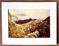 Rare Vintage Michael VanDorn Hawaii Photography Wall Art Prints 8×12, Set of 4