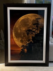 Peter Lik MOONLIT DREAMS 1.5M (71″x51″) Dark Walnut Frame – #895/950 – SOLD OUT