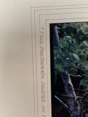 Original Photograph by Charles Freeman Signed w/Mat Board