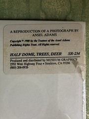 VTG Ansel Adams Authorized Reproduction 1980 Half Dome, Trees, Deer 8×10 NOS
