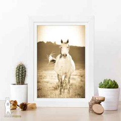 Wild Horse Photography Prints – Western Décor – Paper, Canvas, Metal