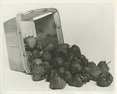 Strawberries with basket antique still life photo