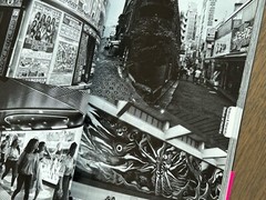 🎈Mega RARE SIGNED! Daido Moriyama – Tokyo, Japan, 2020, Guide, Araki