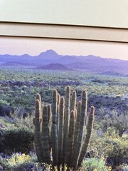 Southwest Sonoran Desert Photo Print,Kokopelli Cut Out Matte