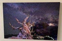 Kirk Mann Photography. Ancient Being. Ready to hang. Aluminum. Signed!
