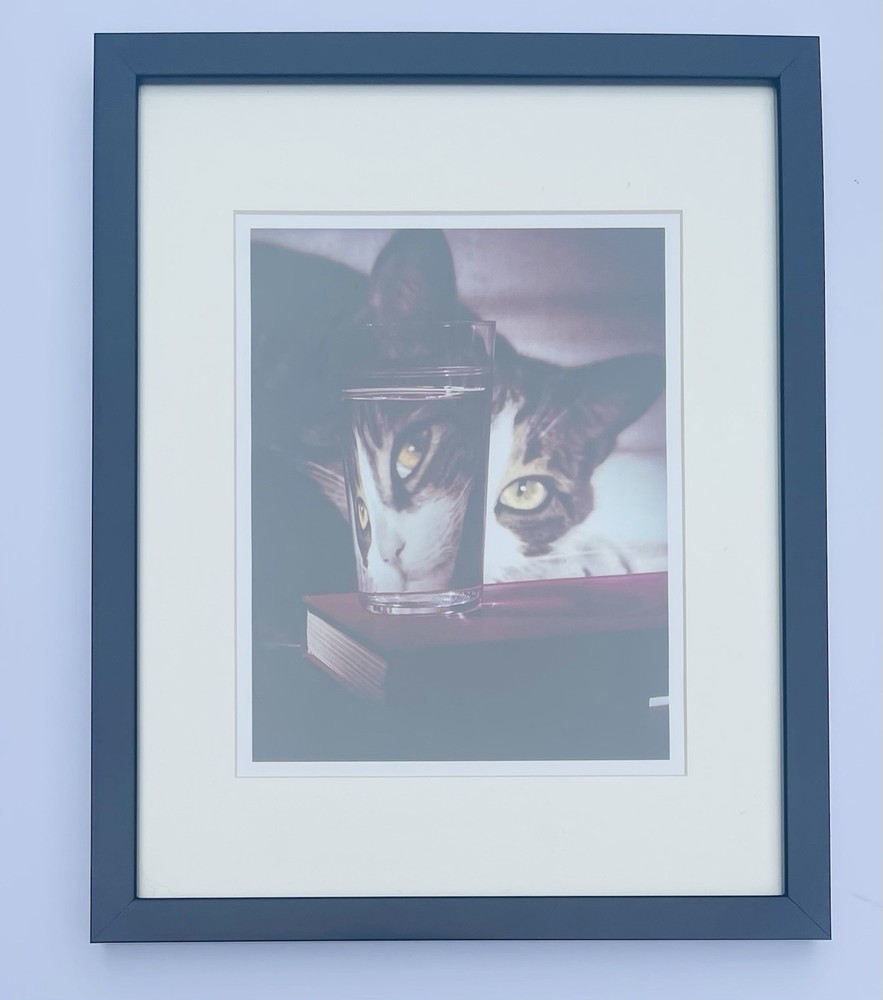 Nina Leen Cat Peering into Glass Framed Print 1963 Life Picture Collection COA