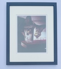 Nina Leen Cat Peering into Glass Framed Print 1963 Life Picture Collection COA
