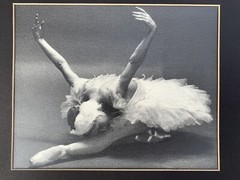 Original Max Waldman Photograph Natalia Makarova Print 1977 Ballet New York