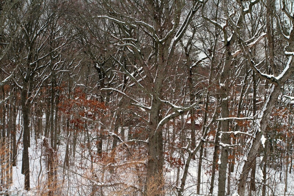 Kayhan Ghodsi Artist. Snowy Day in Long Island NY. Giclée Print On Canvas 48X31.