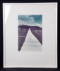 Framed Photograph by Gary Masline 1975 Signed 25″x21″ Frame Excellent Condition!