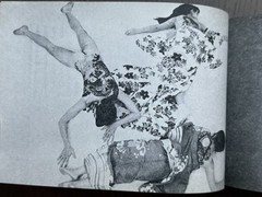 🎈MEGA RARE! Daido Moriyama & Issei Suda – Tenjo sajiki shijo koen 1968, Theatr
