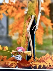 Sexy Catrina Day of the Dead Mexican Folk Art Photography