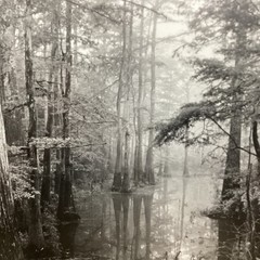 Blair Pittman: «Old River» – Original Gelatin Silver Print Photograph