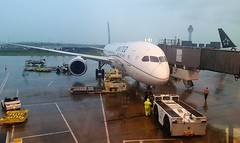 United Airlines 787-9 at Washington Dulles International Airport