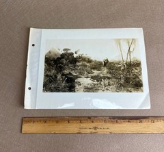 Thomas Moran “Flight Into Egypt” 1925 Authentication Photograph Signed/Typed