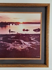 ART – Large Original Signed P. Van Dolson 35mm Photograph 29×21 Framed Landscape