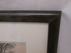Natural Imagery Signed Photograh by William Ervin «A Gathering of Swans» Framed