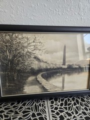 Framed Sepia Washington Monument Cherry Blossoms Photograph