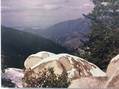 Pine Tree Mountain Sky Clouds Photo Art Print On Board Unknown Artist FoundArt