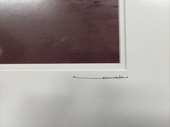 East of Amagansett Photograph (66/200) John Todaro Print Framed ( 22″ X 18″ )